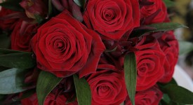 bouquet rose rosse