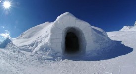 hotel igloo