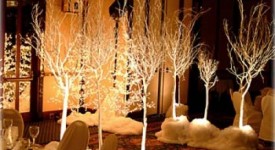 decorazioni matrimonio inverno